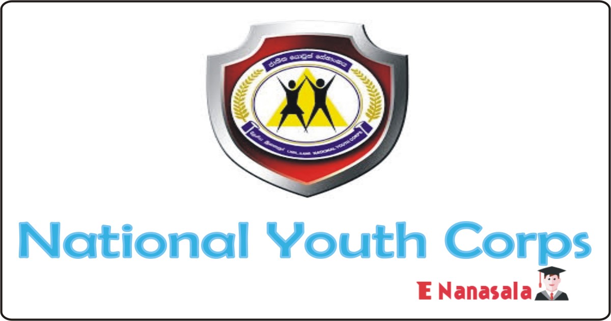 Government Job Vacancies Management Assistant, Additional Director in National Youth Corps, National Youth Corps Job Vacancies