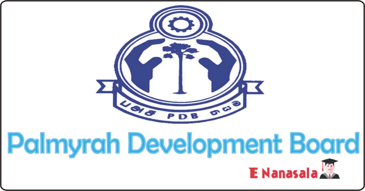Palmyrah Development Board Job 2021, 2022 , Palmyrah Development Board Social Manager, Management Assistant