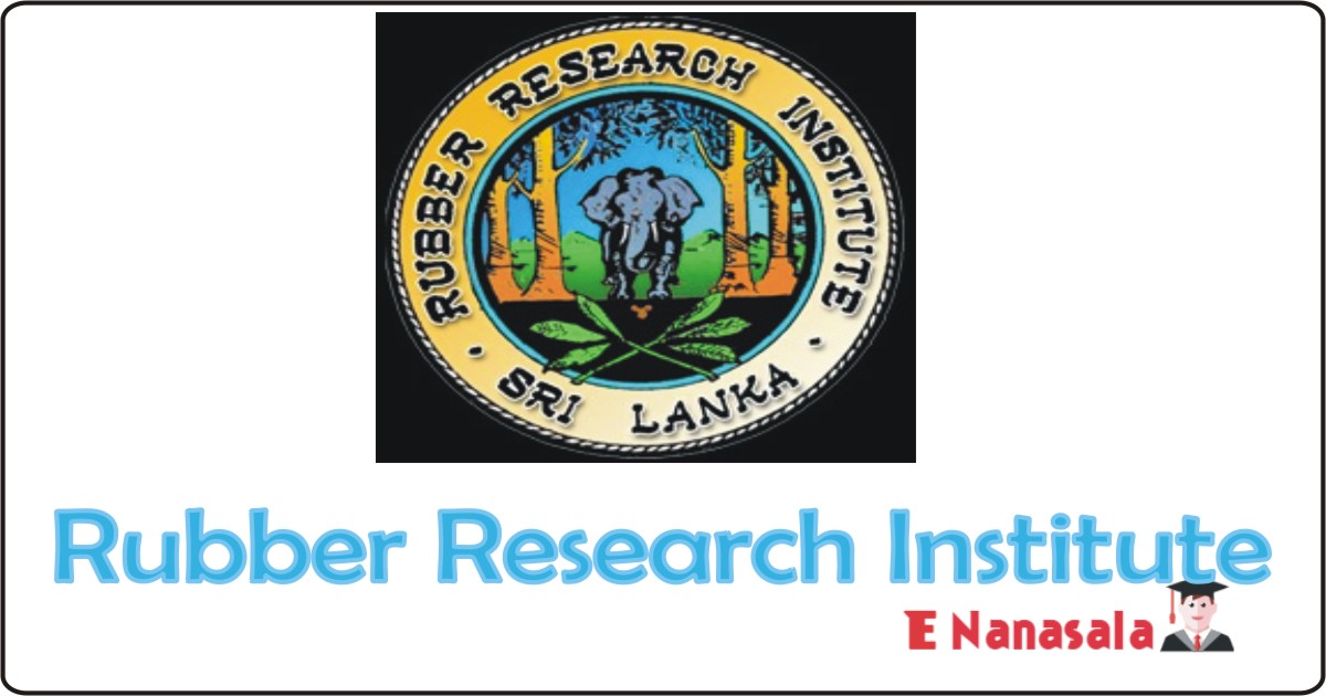 Government Job Vacancies in Rubber Research Institute, Rubber Research Institute Job Vacancies Deputy Director, Manager, Research Officer