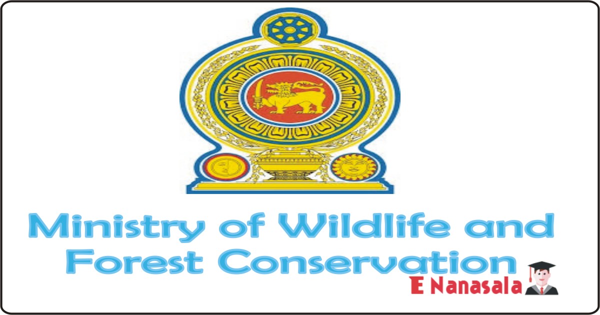Government Job Vacancies in Ministry of Wildlife and Forest Conservation Job Vacancies, Senior Civil Engineer job Vacancies