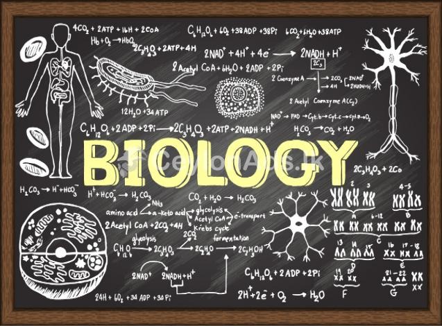 Advanced Level Biology Lesson, Grade 12 Exam Model Papers, Advanced Level Biology Adarsha Prashna, Adarsha Usas Samanyapela