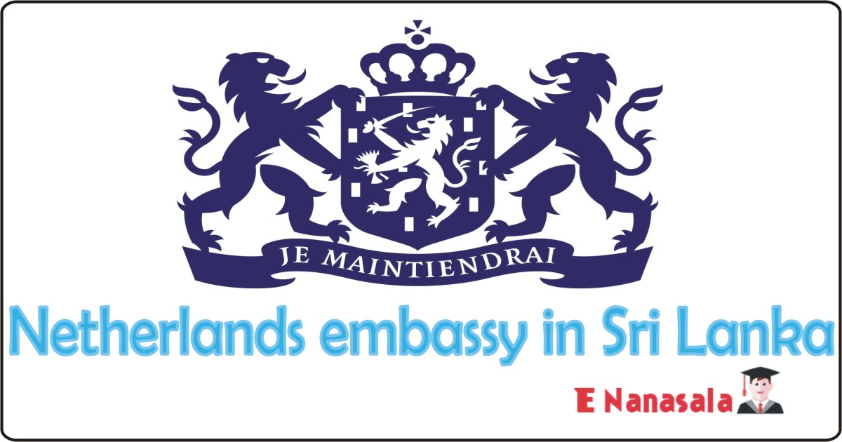 Government Job Vacancies in Policy Officer, Netherlands embassy in Sri Lanka Job Vacancies 2021,2022,2023, Job Vacancies in Sri lanka