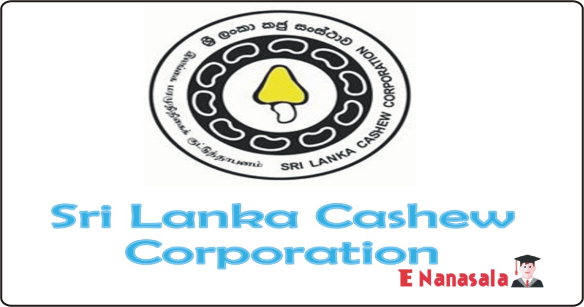 Government Job Vacancies in Sri Lanka Cashew Corporation Job Vacancies, Sri Lanka Cashew Corporation Estate Superintendent