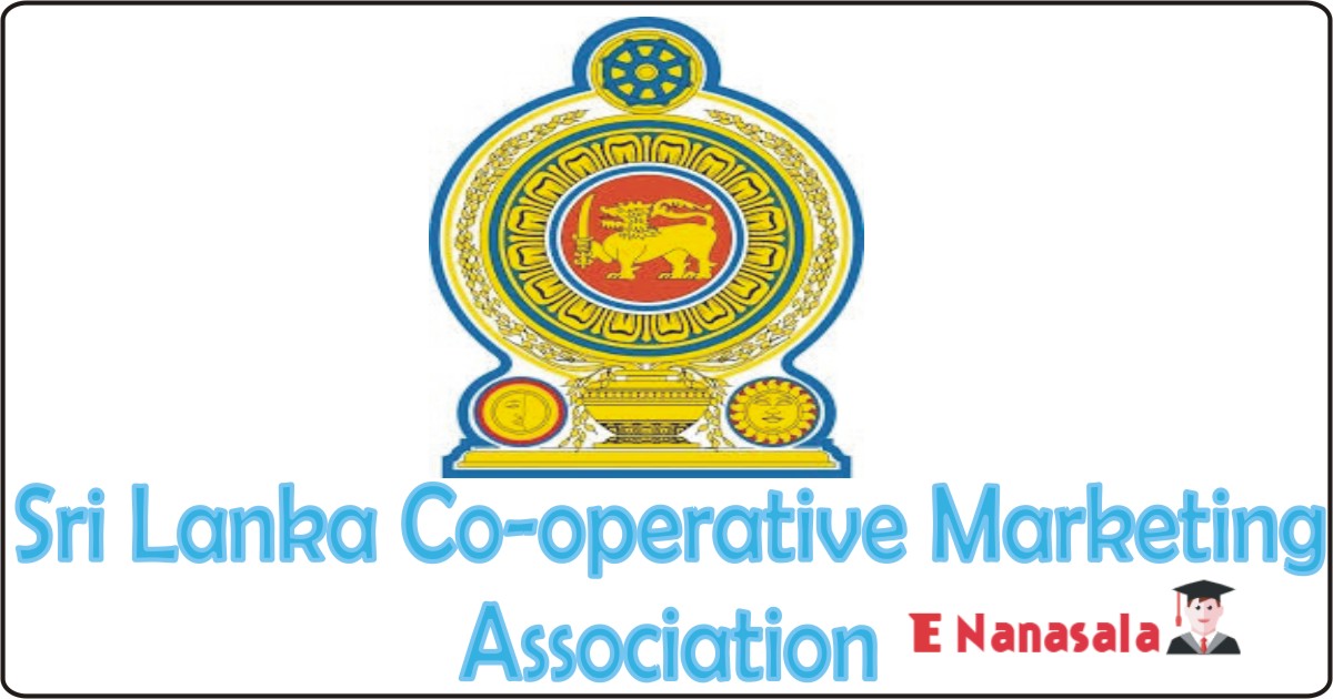 Sri lanka Government Job Vacancies in Sri Lanka Co-operative Marketing Association Limited Commercial Manager. vacancies in sri lanka
