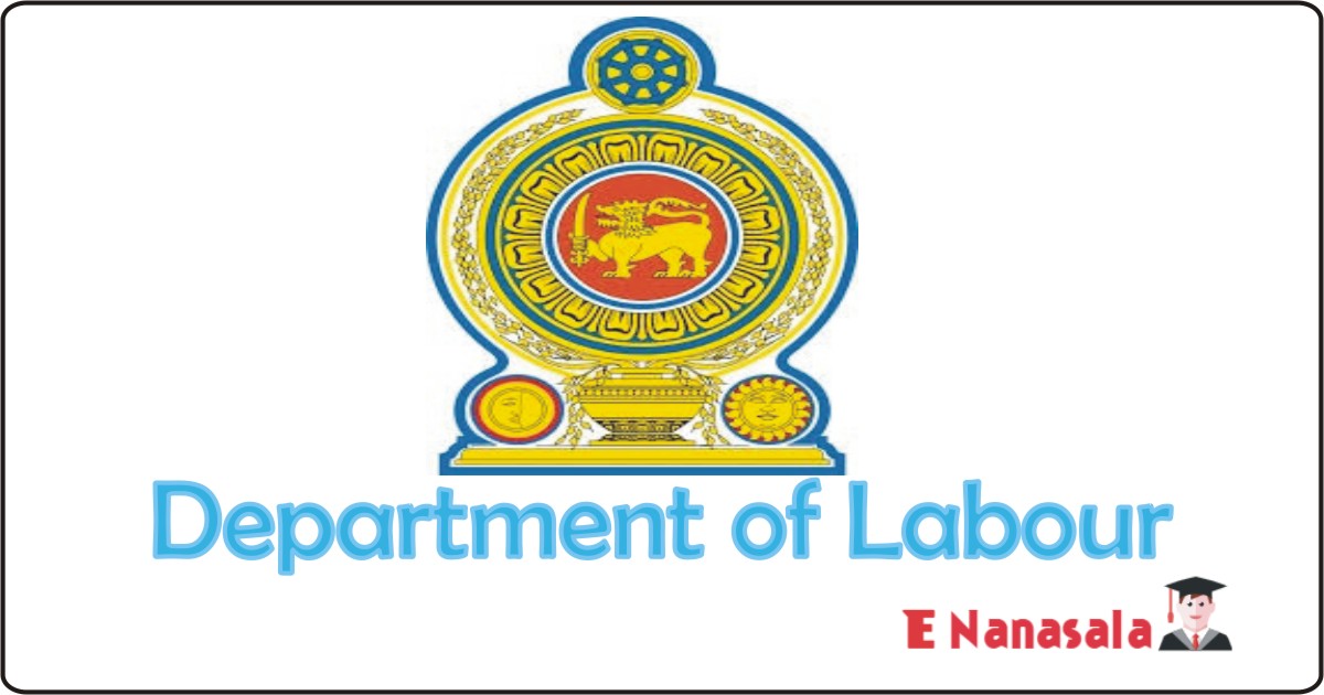 Job Vacancies in Department of Labour Vacancies, Department of Labour, Job Vacancies in Department of Labour Stenographer