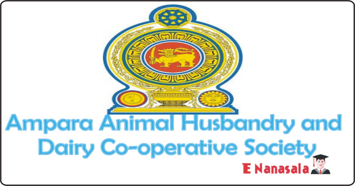 Government Job Vacancies in Ampara Animal Husbandry and Dairy Co-operative Society Limited Job Vacancies, General Manager Vacancies