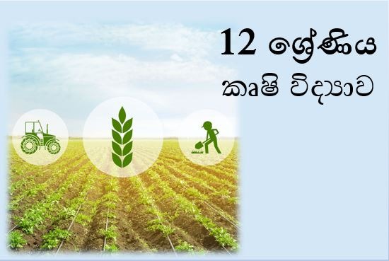 Advanced Level Agriculture, Exam Model Papers, Lessons Videos for Grade 12 to Prepare for Advanced Level Exam