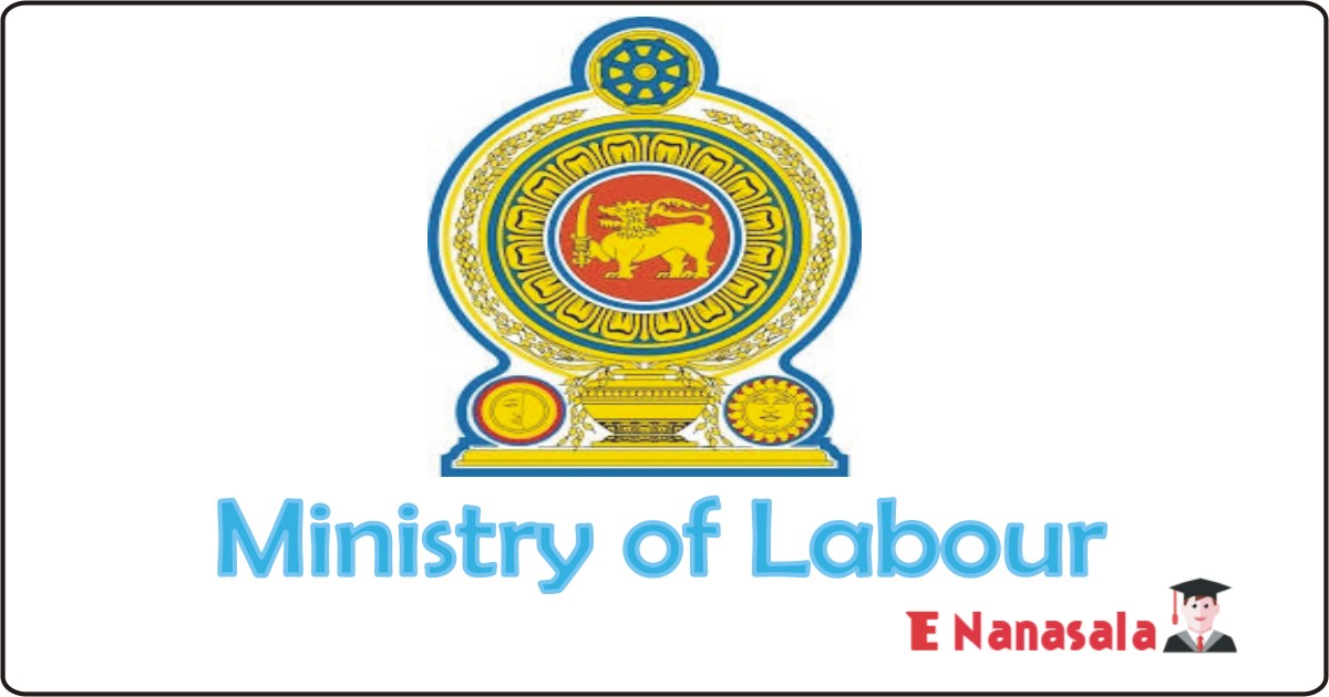 Ministry of Labour to Government Job Vacancies 2021,2022,2023, Ministry of Labour Job Vacancies Stenographer (Sinhala)