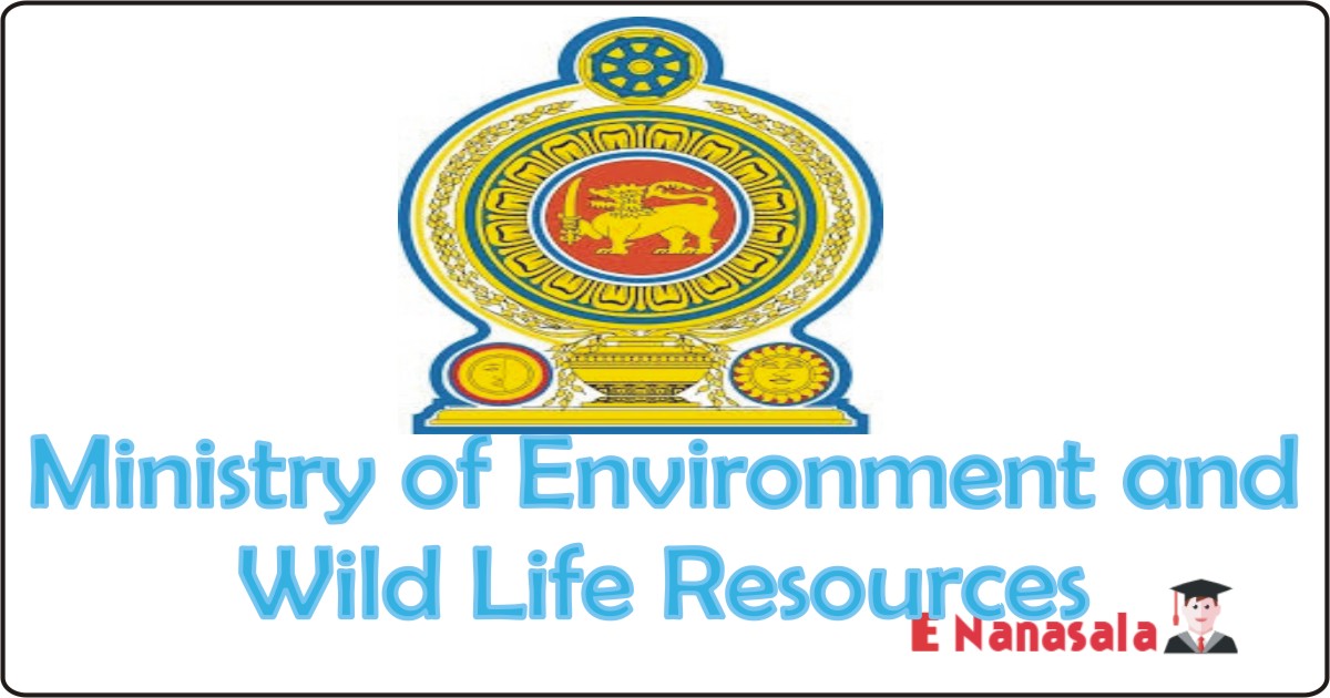 Government Job Vacancies Ministry of Environment and Wild Life Resources, Ministry of Environment and Wild Life Resources Job Vacancies
