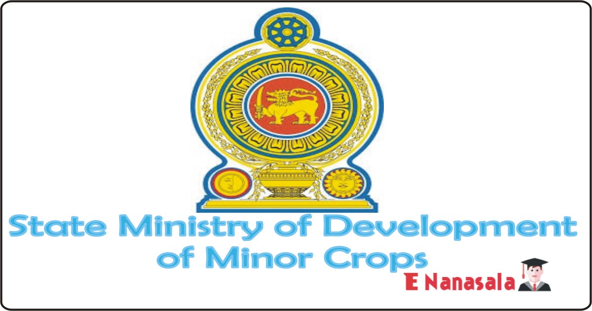Government Job Vacancies State Ministry of Development of Minor Crops, State Ministry of Development of Minor Crops Job Vacancies
