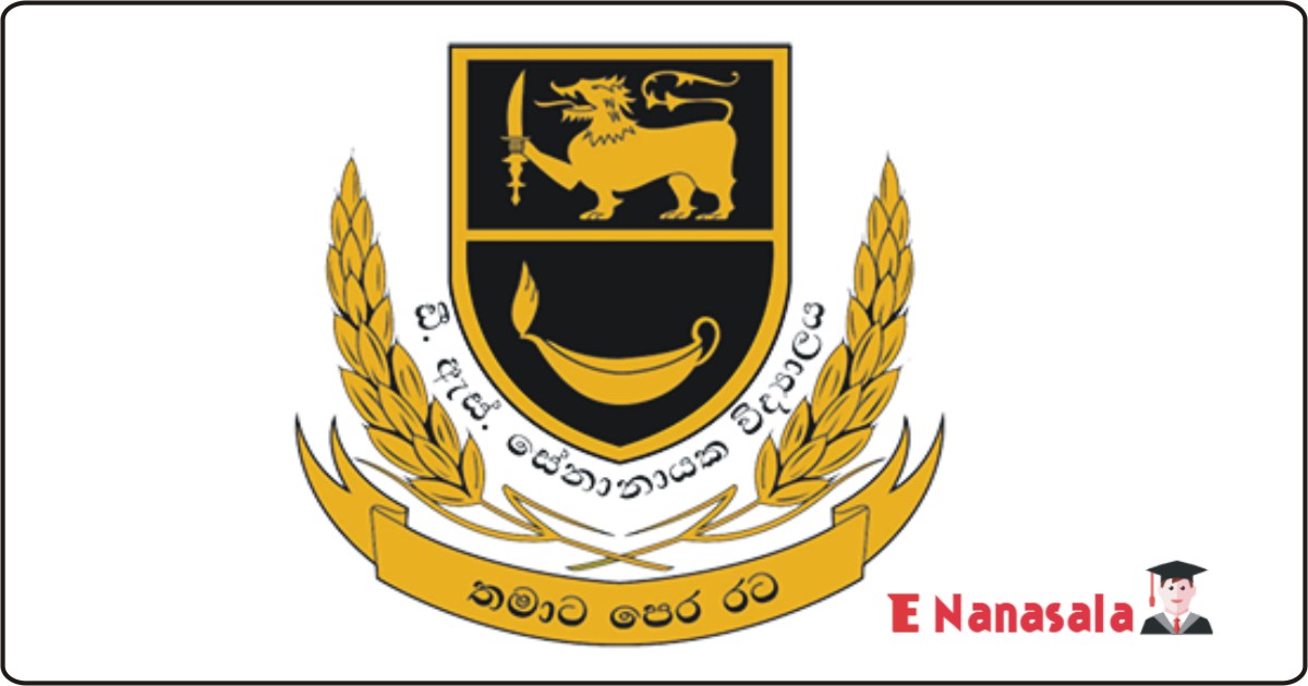 Job Vacancies in D.S. Senanayake College, Job Vacancies in D.S. Senanayake College Athletic Coach, Cricket, Hockey Coach Vacancies