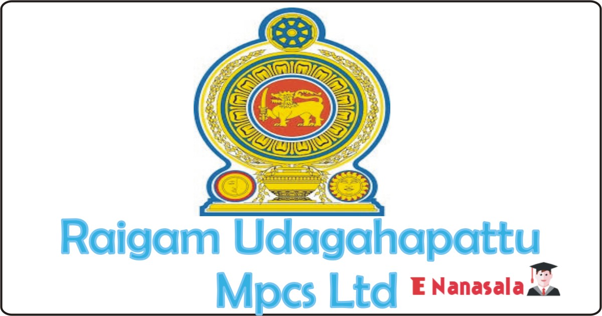 Government Vacancies in Raigam Udagahapattu Mpcs Ltd, Raigam Udagahapattu Mpcs Ltd Audit Assistant, Store Keeper, Regional Manager