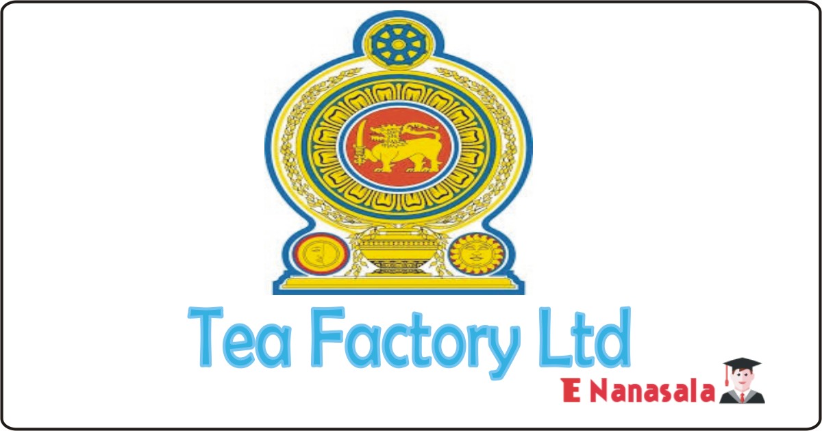 Job Vacancies in Tea Factory Ltd, Job Vacancies in Kalubowitiyana Tea Factory Ltd Administrative Officer Vacancies