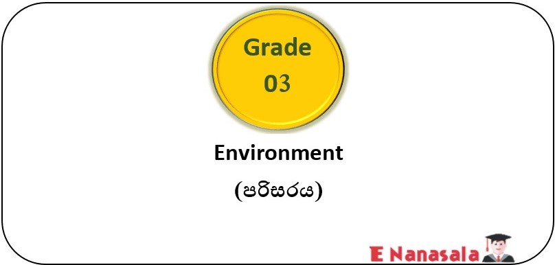 A Series of Video Lessons have been Included for 3rd Grade Students who are Preparing for the Scholarship Exam, Environment Subject.