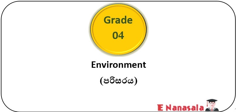 A Series of Video Lessons have been Included for 3rd Grade Students who are Preparing for the Scholarship Exam, Environment Subject.