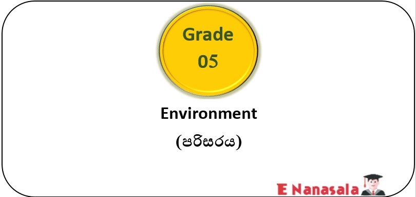 A Series for Video Lessons have been Included for 5th Grade Students who are Preparing for the Scholarship Exam, Environment Subject.